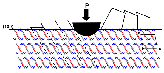 Cytosine Monohydrate